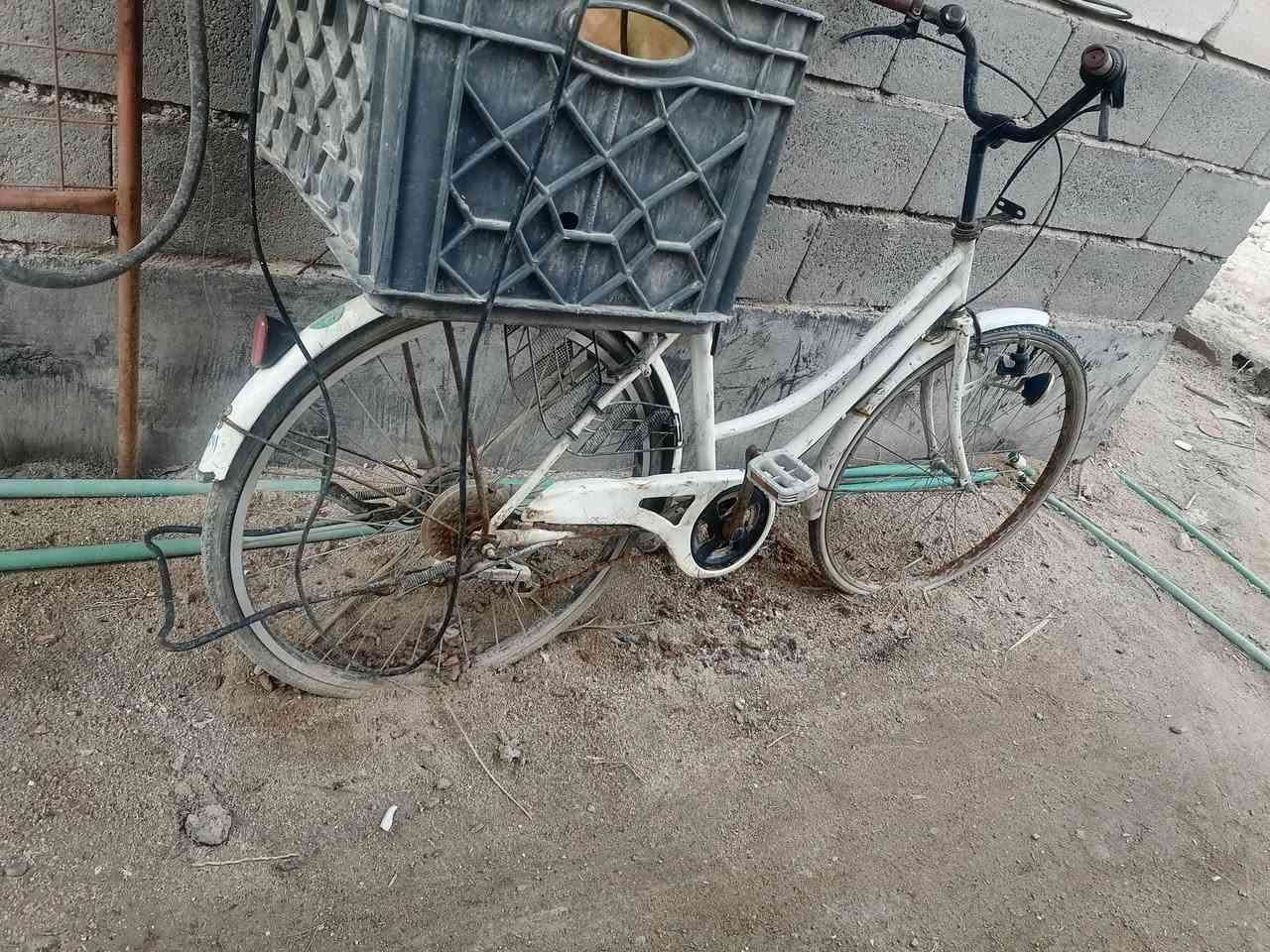 للبيع ب٦٠
مكاني بصرة حي الزيتون


**إذا كنت صاحب هذا الإعلان وتريد حذفه لأي سبب، رجاءا أرسل رسالة إلى الدعم الفني**