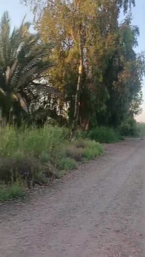 يوجد فرصه استثماريه جيده 7دونم ملك صرف تحويل بطابو مباشر واجه 75متر تصلح استثمار مزروعه نخيل حمضيات ومشش موقع جدا راقي تبعد 10دقائق عن جزيرة بغداد السياحيه العنوان بغداد الراشديه منطقة ابودالي قرب شركة نفط الوسط

***********
***********
