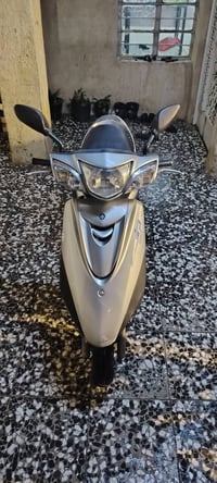 للبيع دراجه بريز ببغاء ياباني  دراجه رمبه صارلها 3 اشهر   دراجه بلاديه...