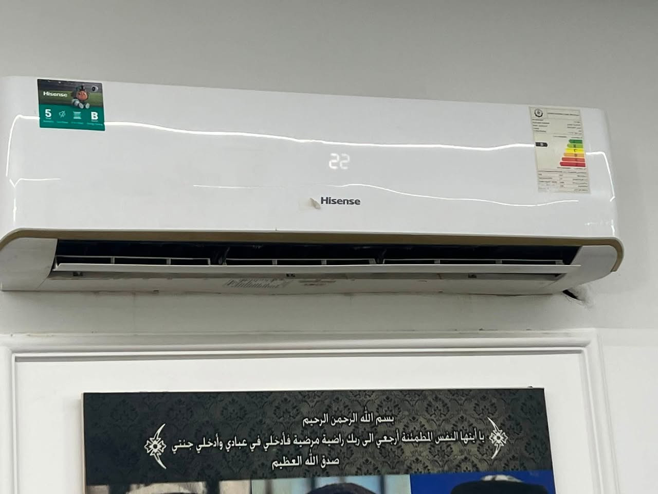سبالت جدد 2 طن مستخدم موسم واحد فقط للبيع سعر السبلت 500 وبي مجال
مكان بغداد جزيره بغداد سياحيه 
***********
