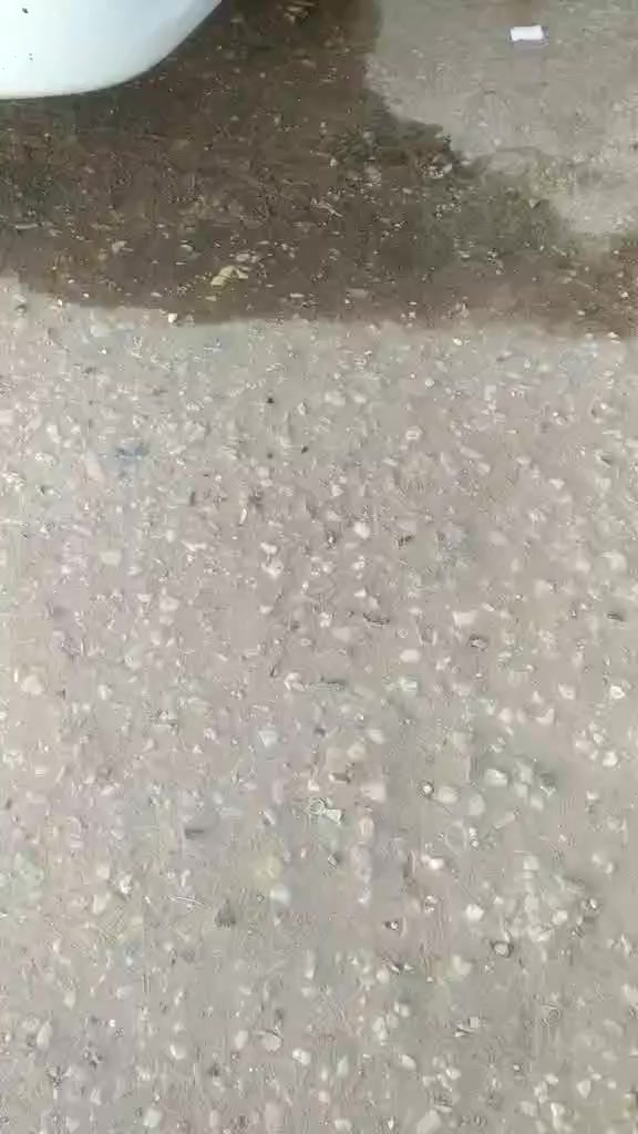 السلام عليكم جنبي ناصي للبيع مديل14 مكفوله كفالة عامه رقم قادسيه مداور ثاني يوم سعر 88 وبيه مجال اذ اكو جنبي عالي مكفوله رقم الهاتف ***********
