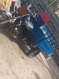 ستوته للبيع مكلف بلنشر  رقم راعيها 07774829520