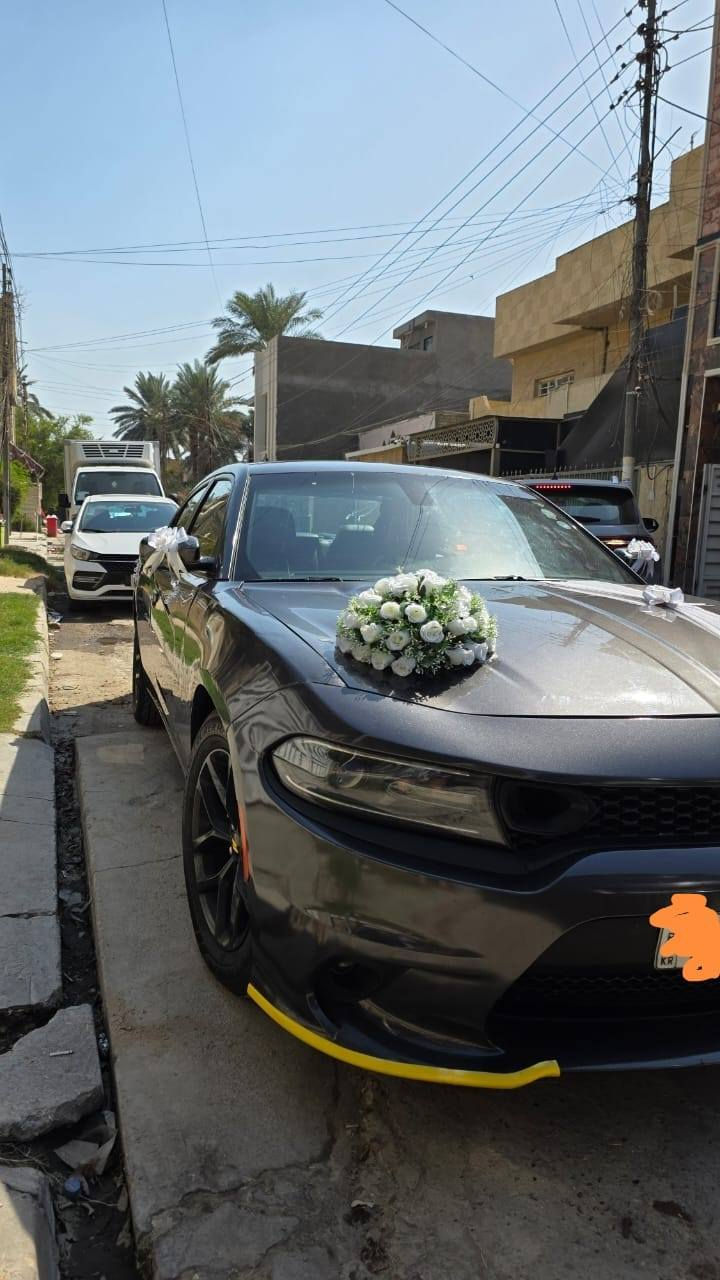 دوج جارجر للبيع 
موديل 2019

مكينه 3600

وارد أمريكي 

ضررها بنيد وجاملغ راجع على البارد بدون دواخل 

صوره الحادث منشوره مع الصور

كامل مواصفات عده الفتحه

رقم اربيل تحويل ثاني يوم

مكان السيارة بغداد ابو غريب 

السعر 215او بيها مجال

الاستفسار على هذا الرقم ***********
