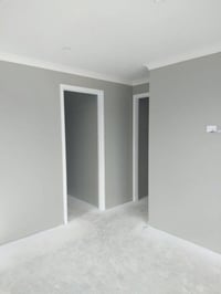 صبغ • ورق حائط • الدوره