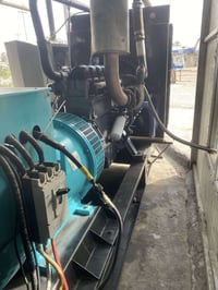 بومه قبق بلاستك بيه شويه تبخير بدون تنقيص وراس توليد ملفوف درجه اوله ٣...