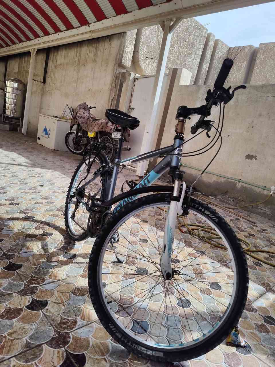 بايسكلات ماركات عالمية نظافة 95% وأسعار طيبة ان شاء الله أي قطعة تعجبك وتفاصيل عل الخاص او اتصل على *********** تحياتي لصاحب الاكروب وأعضاء الاكروب
