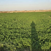 يتوفر ٣ دونم جت ٠٧٨٠١٢٨٧٨٩٦