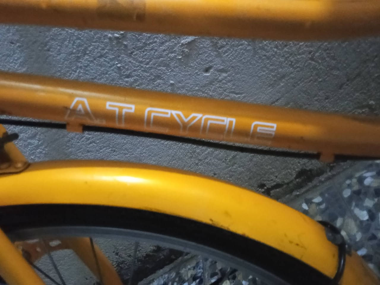 السعر من الخيال 
السلام عليكم 
بايسكل AT  فول مواصفات وبدون صبغ والكفرات اطيكياهن ويا والمكان كربلاء حي العامل المنطقة السادسة مقابيل جامع ال شبل الرقم *********** فقط واتساب وتلكرام وماسنجر والسعر 90 وبي مجال اطيحلك فوك ال 10
