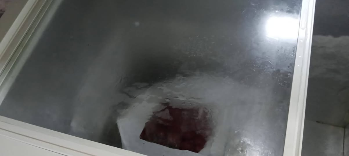 السلام عليكم ورحمة الله وبركاته مجمده مستعمله لمده شهر سته قدم نضيفه بل صيف لاتشيل هم ...مكلف بل نشر 
خاص مفتوح ...
سعر 350.وبيها مجال لشراي 
رقم هاتف ماكو خاص مفتوح ....راسل تدلل


**إذا كنت صاحب هذا الإعلان وتريد حذفه لأي سبب، رجاءا أرسل رسالة إلى الدعم الفني**