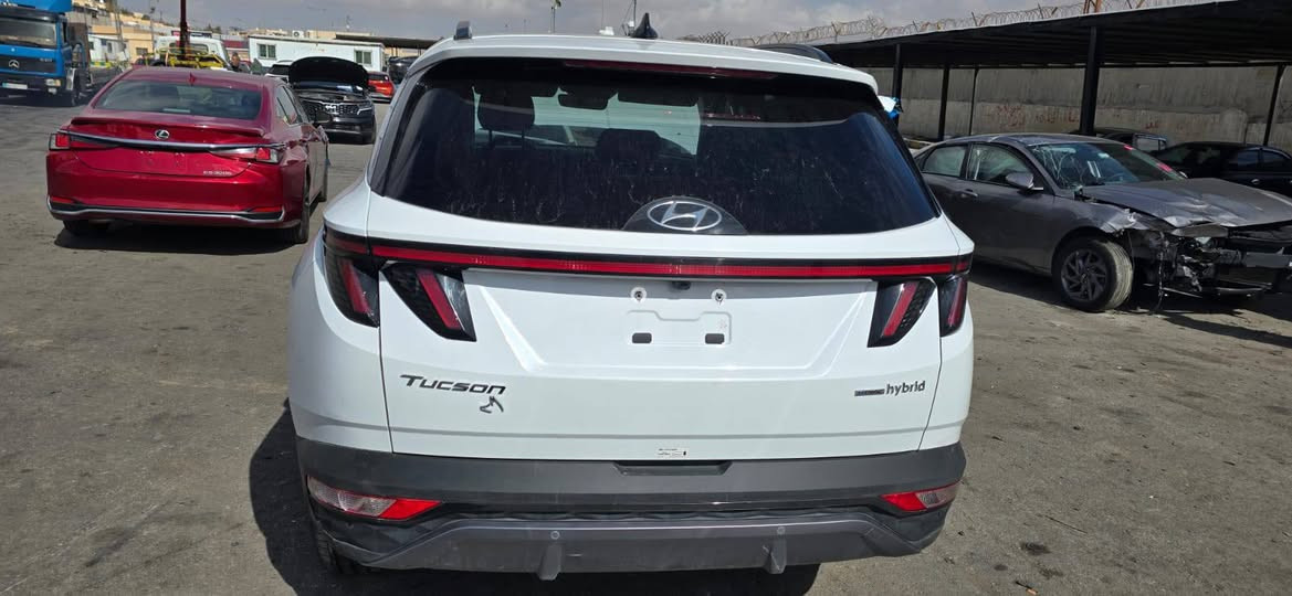 أللهم صلى على محمد وآل محمد 🧿 
تم وصول وجبة سيارات من أمريكا الى عمان سيتم الشحن الى العراق 🇮🇶 
بأذن الله تعالى 🚢
ألف مبروك لصاحب السياره تستاهل كل خير بالتوفيق ان شاء الله 
مكتب الحسناوي لتجارة السيارات الامريكيه والكنديه عنوان بابل قضاء الكفل مجاور دائرة أحوال الكفل مقابل صيدليه الشهد 🌹 
للاستفسار الاتصال على الرقم التالي 
*********** وات ساب 🇮🇶
