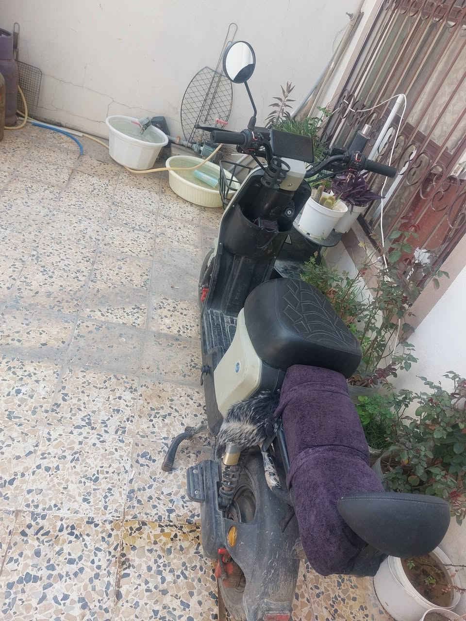 دراجه شحن موديل 2025 السعر300


**إذا كنت صاحب هذا الإعلان وتريد حذفه لأي سبب، رجاءا أرسل رسالة إلى الدعم الفني**