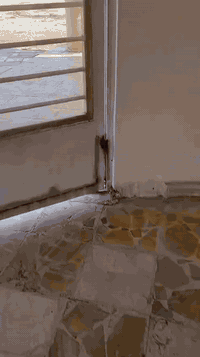 بغداد الكمالية • ٣٥٠م • طابق واحد ٣ غرف