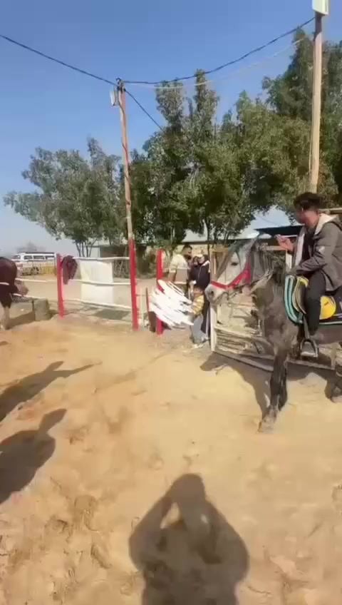 **حين يلتقي الطفل بالخيل… يحدث السحر** 🐎✨
يوم أمس الخميس لم يكن مجرد زيارة إلى نادي ركوب الخيل 
بل كانت جلسة علاج حقيقية بأسلوب مختلف 🐎✨
ركوب الخيل للأطفال يساعد على :
• تعزيز التوازن والتناسق الحركي.
• تحسين التركيز والانتباه.
• تقوية التواصل البصري واللفظي.
• تنمية الثقة بالنفس والاستقلالية.
• تفريغ التوتر وبناء الشعور بالأمان.
حركة الحصان المنتظمة تحفّز الجهاز العصبي بطريقة عميقة وتمنح الطفل تجربة حسية متكاملة تدعم تطوره الجسدي والنفسي 💙
نحن لا نصنع نشاطاً ترفيهياً فقط…
نحن نصنع خطوة جديدة في طريق التقدم
-----------
المعهد بإشراف وإدارة الدكتور علي كريم 
متخصص في العلاج السلوكي والنطق للأطفال 
_____
↩️العنوان /بابل/المسيب /حي المعلمين /شارع عمارات الدوب مجاور منتدى شباب المسيب
📶للإتصال ***********
