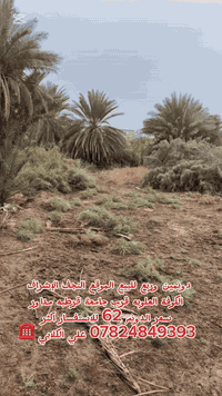 التوكل على اللّٰه دائماً

نستقبل جميع العروض

— في ‏‏الكوفة‏‏.والنجف

وجميع المحافظات 

☎️*********** واتساب

علي الكلابي للإستثمارات العقارية
