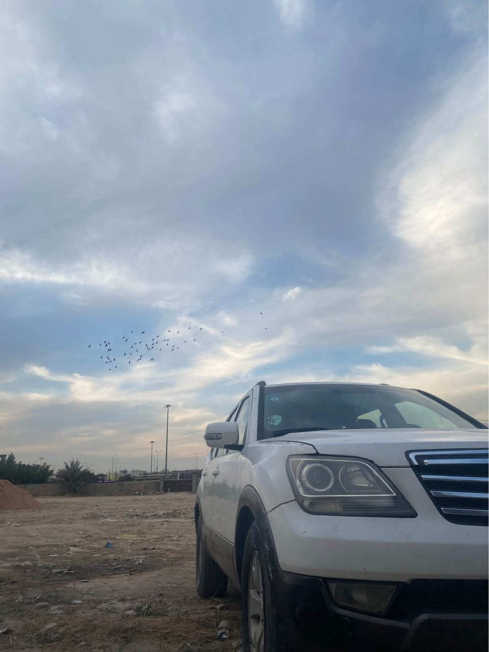 بيع او مراوس 
*********** بغداد, العراق
