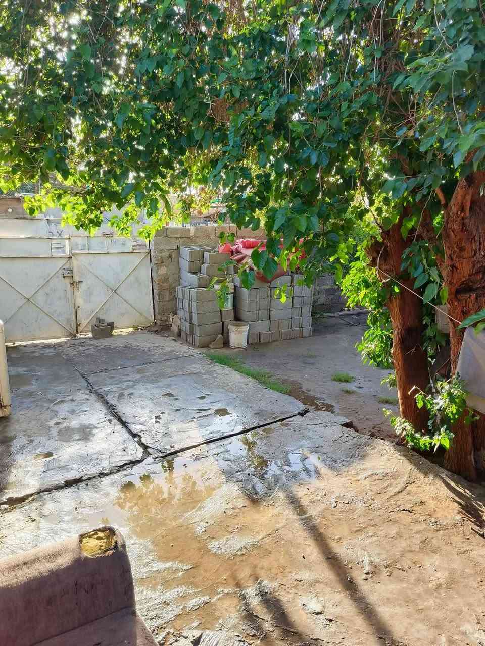 بيت تجاوز للبيع المكان حي العامل 801 غرفه صاله مطبخ ترك خلفي وجانبي حديقه كبيره كراج سيار
***********اي ازاله ماكو منطقه حلوه وهادئة
بيت تجاوز للبيع المكان حي العامل 801 غرفه صاله مطبخ ترك خلفي وجانبي حديقه كبيره كراج سياره 
بيت تجاوز للبيع المكان حي العامل 801 غرفه صاله مطبخ ترك خلفي وجانبي حديقه كبيره كراج سياره

