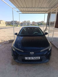 كورلا • ٢٠٢٠ • رقم اربيل