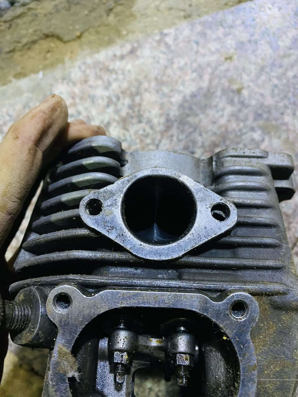 سلام عليكم تزويد قطع حلوه
ويل خلفي بس عنكبوت جديد كلش 
وكابريتر قفاز ماعرف تشتغل لا لان متروكه حجم 32
قبق هندر تزويد بلادي مو تجاري 
شيال راجع كرزي توبو اصلي تايوان 
كاور سكنس ماكس يشغل 66 و68
وصالنصا كامله هيه وبطيخه وشيال
وبوري عدل مال دراجات مزوده 
شراي خاص وليأخذ شلعه حسبهم سعر حلو مكاني ناصريه مركز ***********
