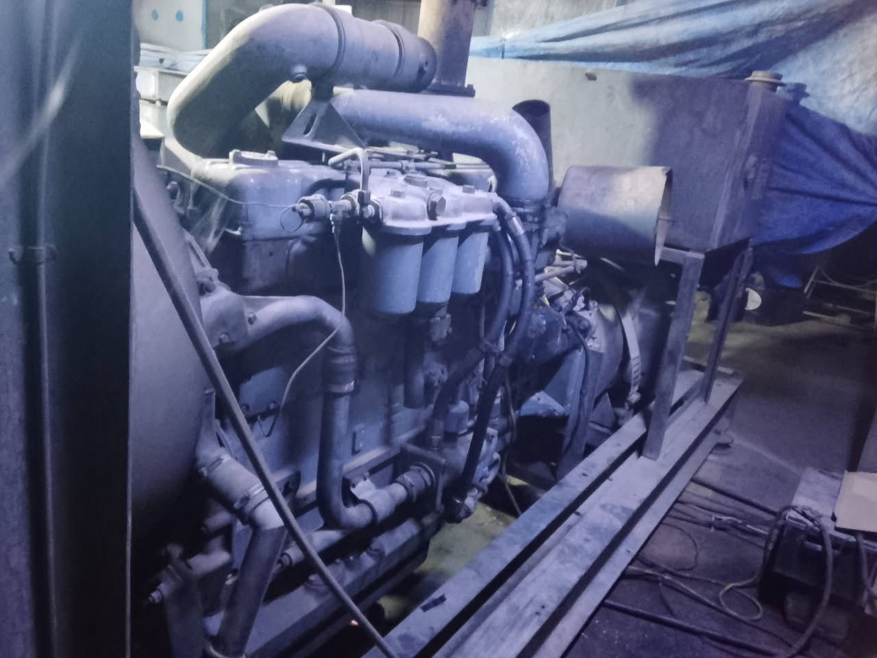 روز رايز للبيع واحد 250 كيف ***********
