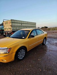 سوناته • ٢٠١٠ • أمريكي