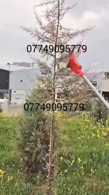حاشوشة شحن


**إذا كنت صاحب هذا الإعلان وتريد حذفه لأي سبب، رجاءا أرسل رسالة إلى الدعم الفني**
