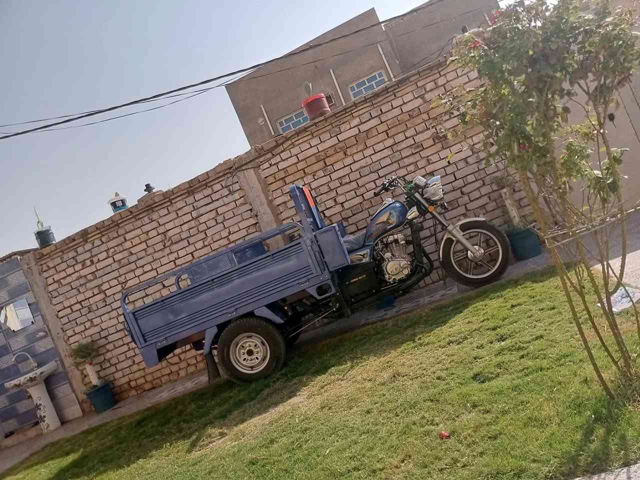 للبيع 23 وكيله نوار الباشا لسعر خاص واهاذه رقمي ***********
