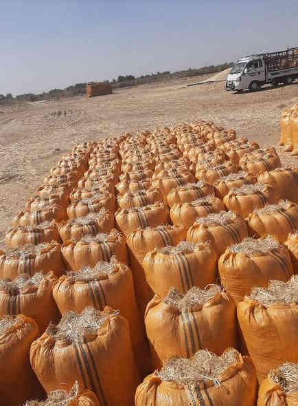 تخفيضات وبأنسب الاسعار
وتوصيل مجاني يوجد تبن
 نضيف + ابيض + الكبسه مال الكله 
مال الحاصوده الفوك + يوجد توصيل
 ديالى + بغداد + واسط الكوت
 بابل الحله + كربلاء + نجف
 ديوانيه + السماوه للاتصال والاستفسار
  متواجد واتساب وماسنجر
 وخطي *********** او ***********
