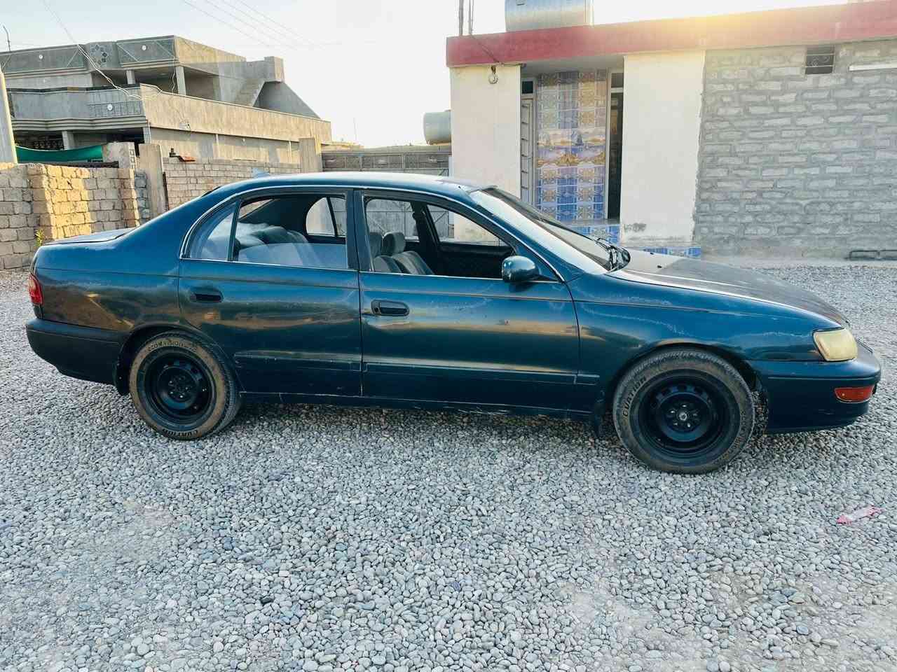 السلام عليكم.للبيع  فرخ بطه . كير عادي . سعر 38 وبي مجال محرك  وكير شرط مسجل نينوى رقم جديد شرط. وكاله تريد تحويل. ***********. ***********
