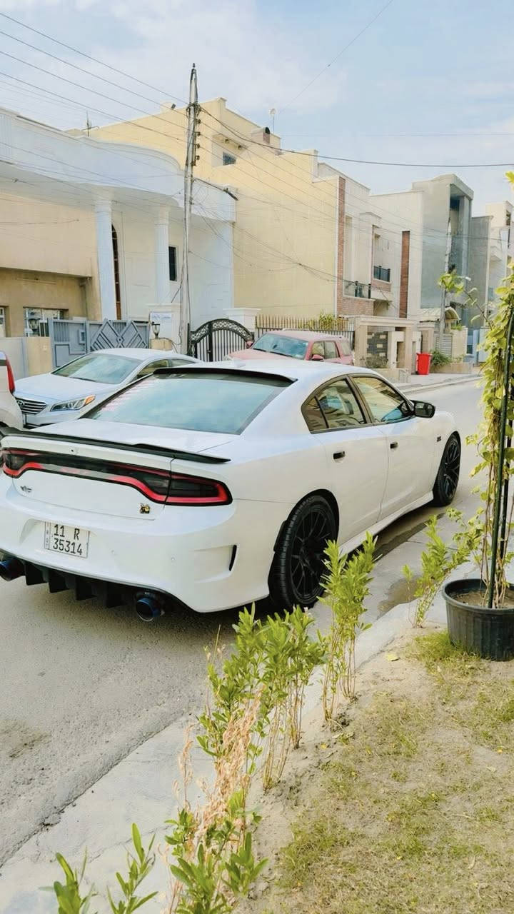 سلام عليكم شباب 
جارجر سكات باك للبيع 
موديل 2022 
اللون ابيض 
مكينه V8 / 6400ccm
ماشيه : 35 m 
رقم بغداد بأسمي والتحويل ثاني يوم 
المواصفات 
——————————-
كشنات كنتاره احمر مختم ( سكات باك ) 
فجوج بريمبو 6 بستم 
اكسل قفل 3.9 
كير 8 نمر 
دبات موبار سود
شاشه كار بلي 
كشنات تدفئه تبريد 
4 مودات قياده 
ذاكرة خزن ميموري 
حساسات خلفيه + جانبيه 
كامره خلفيه 
وباقي مواصفات السكات باك معروفه 
الأضافات 
———————————
لدات اوركال متغير 
وسقف روز رايز

حادثها 
——————————-
جاملغ وبنيد فقط 

* علماً السياره مناقصها اي شي جاهزه مجهزه 
* لا بيها تكحيل ولا بارد وكشرها كلش حلو 
 السعر 228 وبيها مجال بصيط وبالعافيه على الي ياخذها
مكاني بغداد / المنصور 

شراي يتصل ***********
