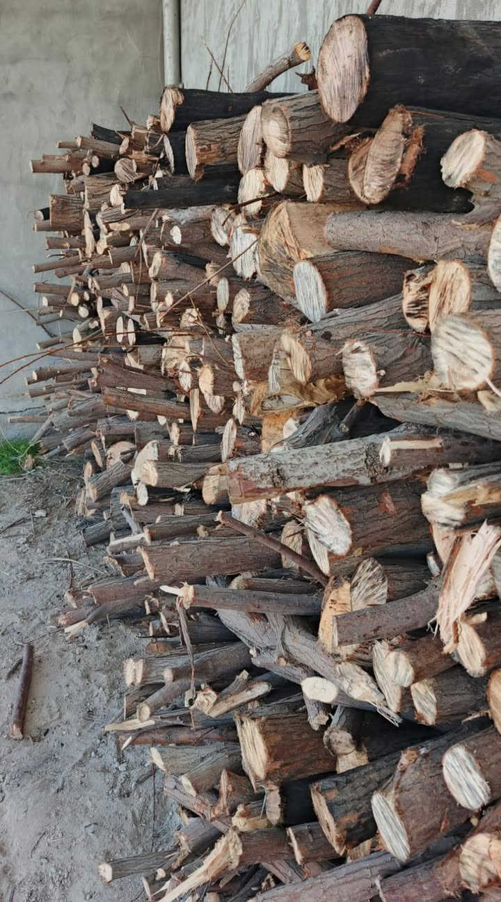 يوجد خشب للبيع بسعر مناسب للاستفسار ***********

