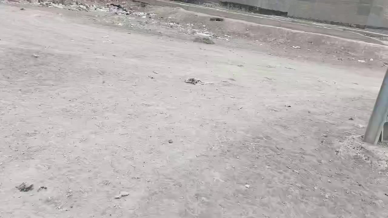 يا الله
يعلن مكتب الرحمن حله شارع 100 عن وجود قطعه 
300متر ركن طابو صرف 
الوجها 12والنزل 25
تصير سكن او استثمار 
خدمات كامله منطقه سكنيه مرتبه
العنوان حله شارع 100 بحي المراتب 
السعر والتفاصيل أكثر خاص او الاتصال على الارقام او المراجعه مكتب الرحمن حله شارع 100 
#ملاحظة# لمن يرغب في
 عرض عقار او ارضه طابو صرف او طابو زراعي عليه مراسلتنا او الإتصال
***********
***********
