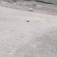 حله شارع ١٠٠ • ٣٠٠م • طابو صرف