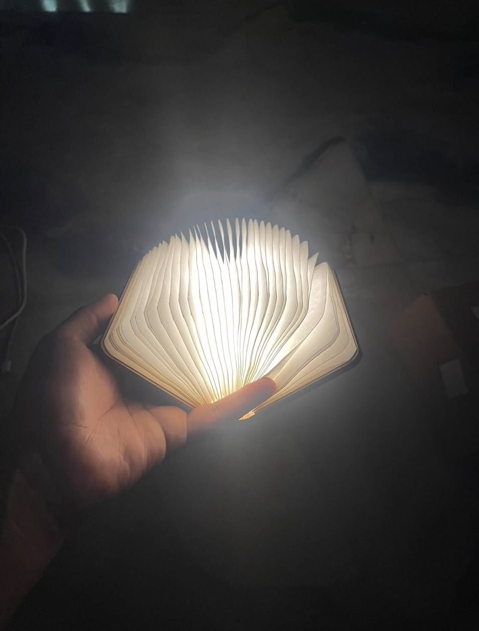 دفتر بي اضاءة يعمل على شحن
العدد 3
السعر 18
يوجد توصيل


**إذا كنت صاحب هذا الإعلان وتريد حذفه لأي سبب، رجاءا أرسل رسالة إلى الدعم الفني**