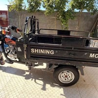 ستوته أم الطير • موديل ١٦ • اوراق كاملة