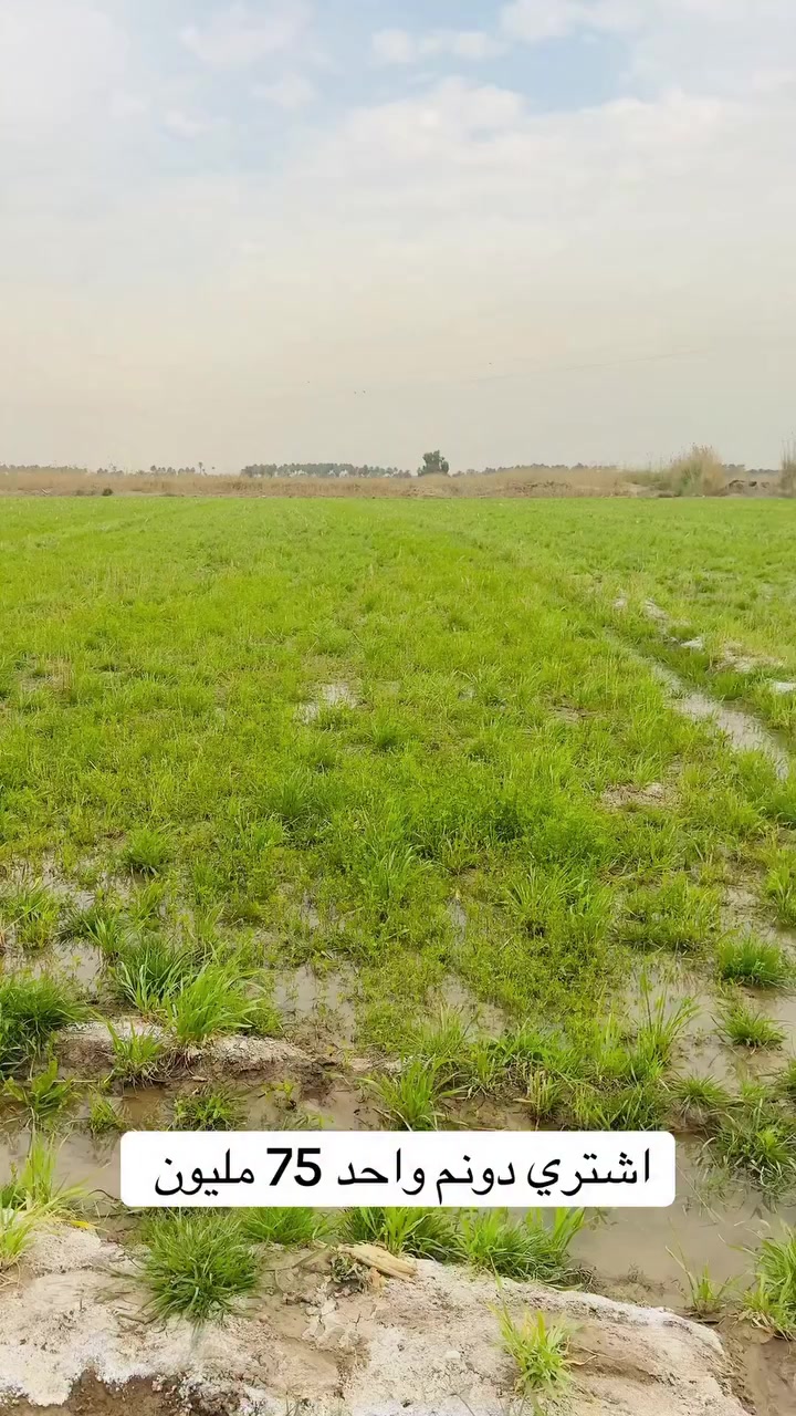 فرصت العمر ( الدونم الواحد 75 مليون فقط ) في منطقة الدورة
***********_***********_***********
