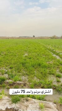 فرصت العمر ( الدونم الواحد 75 مليون فقط ) في منطقة الدورة 07774922088_...