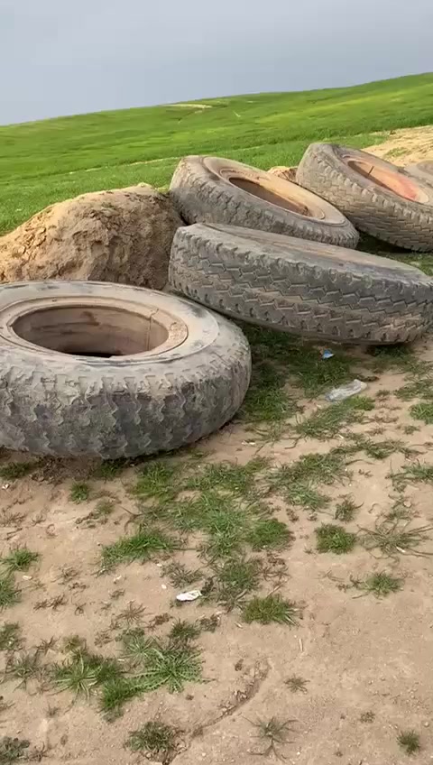 سلام عليكم اللبيع تواير ٢٤نص عمر كامل معا وياله اسعر علا ارغم ***********
