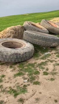 اللبيع تواير ٢٤نص عمر كامل معا وياله اسعر علا ارغم 07502248767