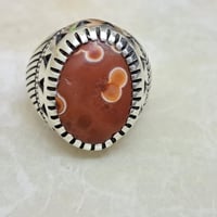 سليماني احمر • نوادر • قفل الموشراي