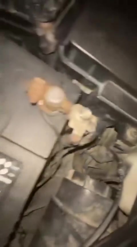 السلام عليكم اوبتمه موديل موديل 2010 وارد أمريكي ضررهها جاملغات خلفيه ماعابر وبدون دواخل تبريد حداديه تخم تاير كهربائية كلهه شغاله السيارة جاهزه مبيها أي نقص مكينه وكير مكفولات رقم بغداد بسمي مصفره هيءه وغرامت تحويل ثاني يوم مكان واسط قضاء الزبيديه السعر 85 وبيهه مجال الاتصال ***********
