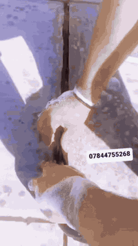 يا الله السلام عليكم اليعنده إعادة ماستك جديد وقديم والي عنده تطبيك اشتيكر وقلع وزفت انتصل على الرقم متواجد واتساب ***********   ناصريه
