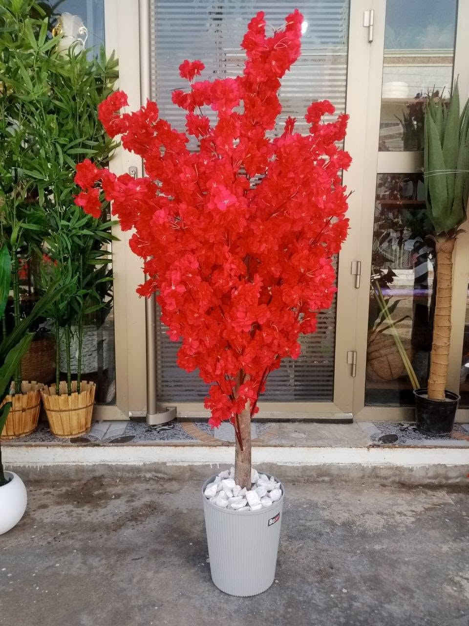 مجموعة نباتات مميزة وجذابة تخلي المكان يجنن 😍
متجر #سعفة
موقعنا هيت شارع حي الجمعية الاولى خلف المركز الصحي
متواجدين يوميا من الساعة 3 عصرا حتى الساعة 11 ليلا
خدمة التوصيل لجميع مناطق العراق 🚕


**إذا كنت صاحب هذا الإعلان وتريد حذفه لأي سبب، رجاءا أرسل رسالة إلى الدعم الفني**