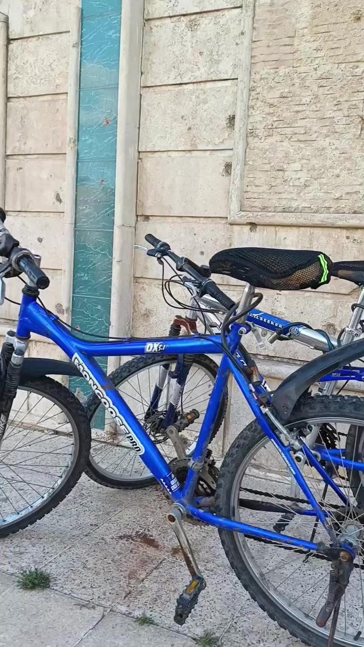 بايسكلات نضيفه سعر خاص    موصل
للتواصل /***********

