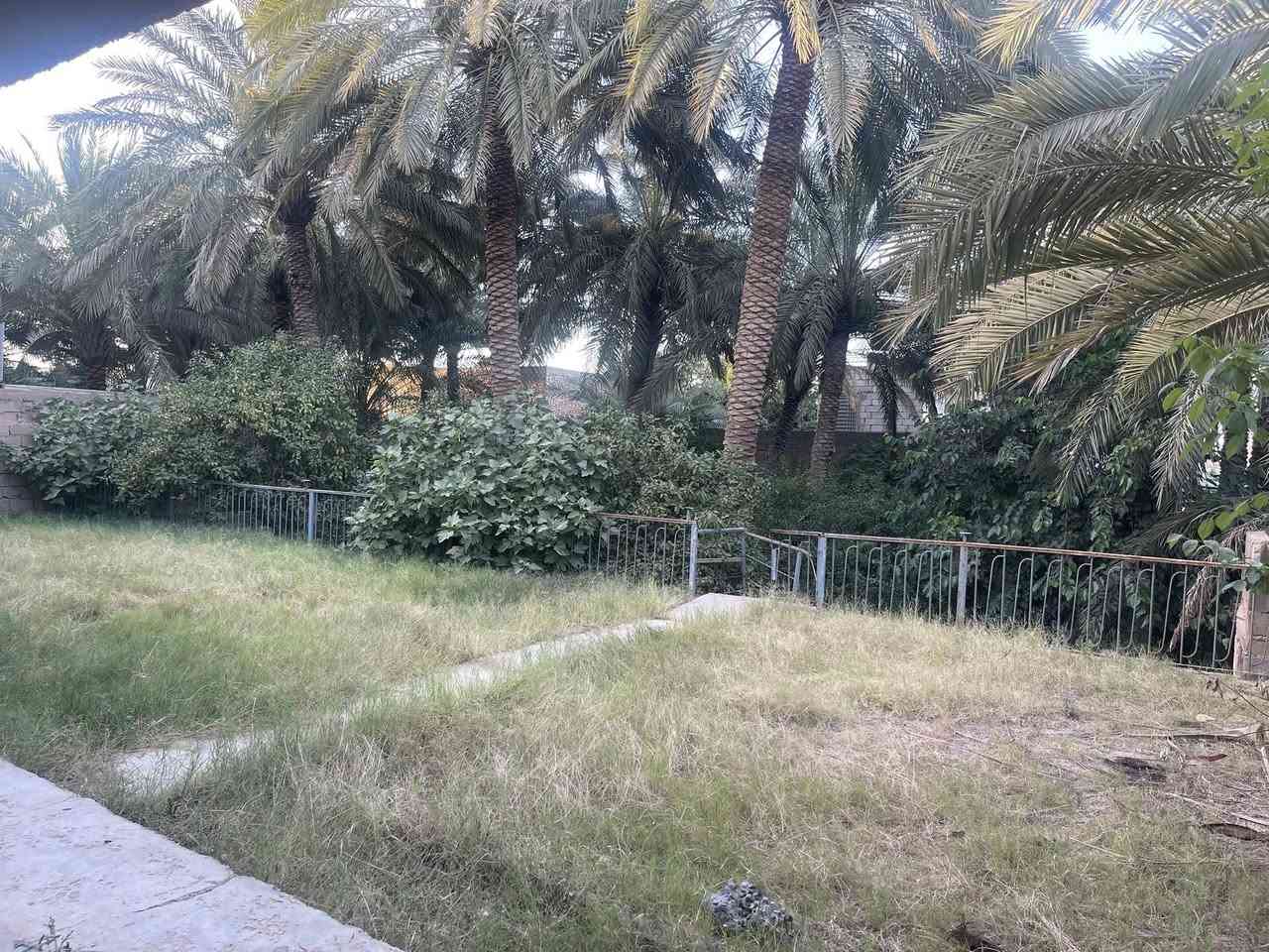 � فرصة استثمارية مميزة للبيع 🌴
📍 الموقع: الأنبار – هيت – حي أمينة

🔹 المساحة الكلية: أكثر من 1000 م²

🔹 الواجهة: 47 متر

🔹 العمق: 23 متر

🔹 جنس العقار: تجاوز

✅ يصلح لـ:

* مزرعة واستراحة عائلية

* تقسيم إلى أكثر من 5 قطع

* بيت مع قطعة أرض وبستان مصغر

🏠 مواصفات المنزل:

* ديوانية

* هول واسع

* غرفتان

* مطبخ

* مساحات كبيرة ومريحة

🏠 الطابق الثاني:

* غرفتان إضافيتان

🌳 تحتوي الحديقة على:

* نخيل مثمر 🌴

* أشجار تين

* أشجار طرنج

* نخيل  بربن

نخيل خيارة 

* وأشجار متنوعة أخرى

🔸 البناء قديم لكنه صالح للسكن

للاستفسار و التواصل ***********
