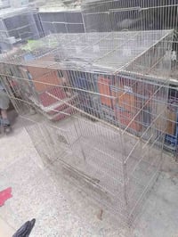 قفص أبو متر • بدل بجراره • ناصريه بالمدينه