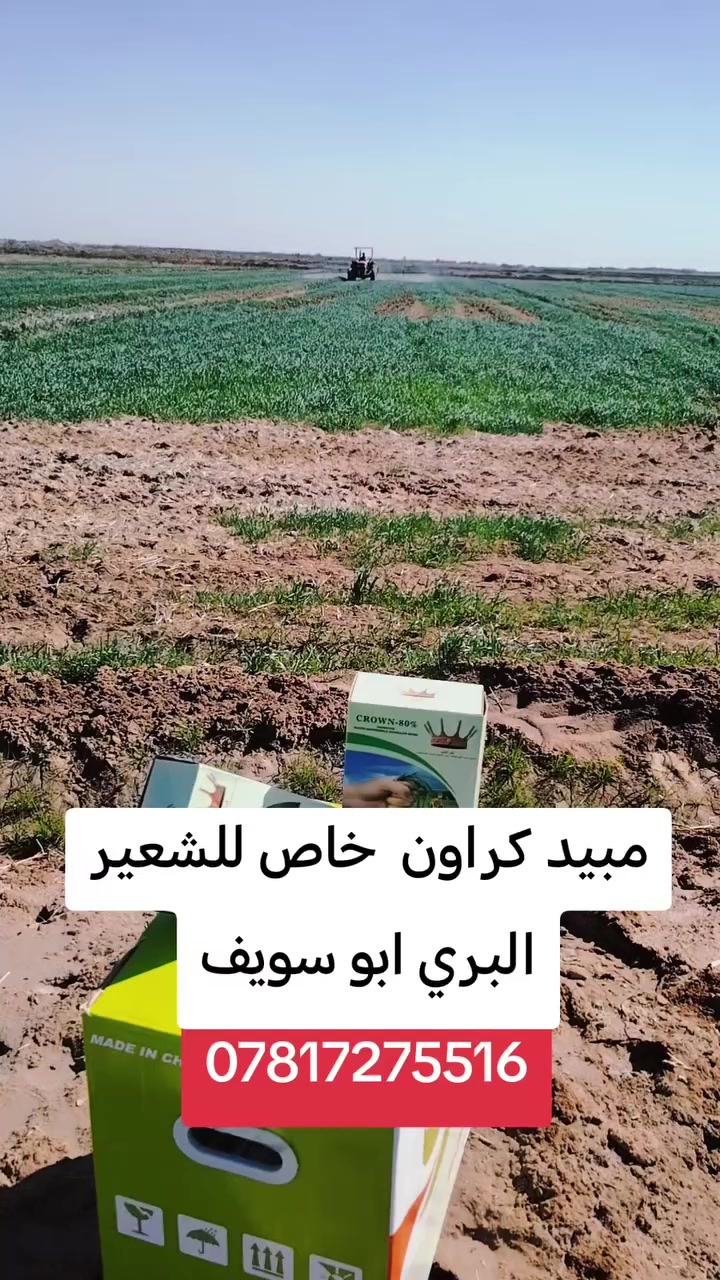 ***********
***********
***********
ايمن عامر جودة
