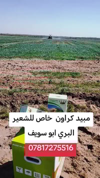 ايمن عامر جودة • ديكور وحدائق