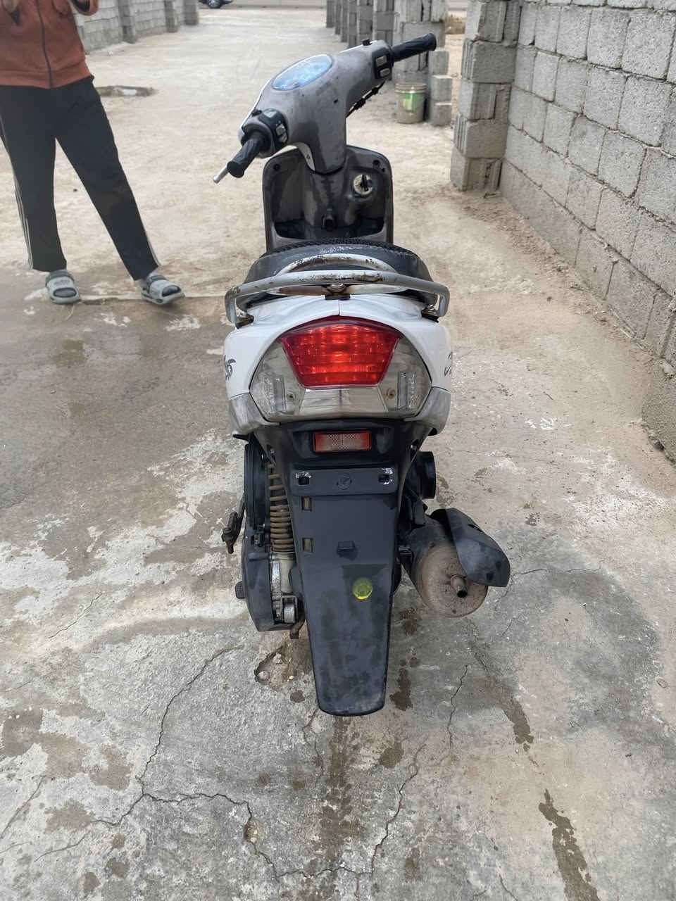 سلام عليكم ماكس منغولي البيع مكفوله مكان كربلاء ***********
