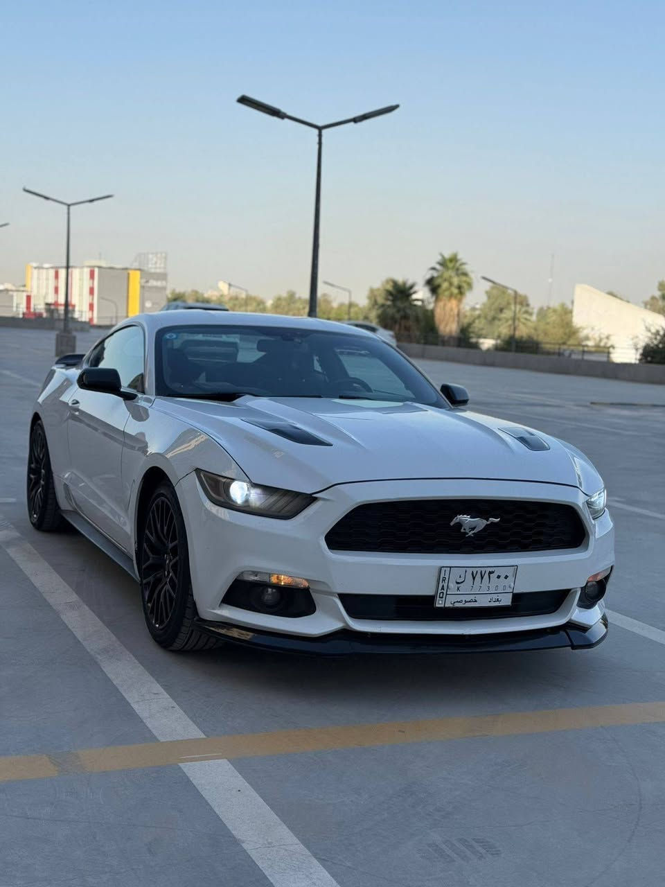 وينهم عشاق الحنتور 

صارلي ٣ سنين مشايف موستنك بهل نضافة ونوب V6 وبسعر اوبتما 

 موستانگ 16

‎‏V6 / 3.7 / رقم بغداد وشبه مميز باسمي
‎بدوووون ايرباك

‎قطعة ونص صبغ

‎جاملغ عكس سايق + نص جاملغ السايق

ماشية  { 95 الف ميل }

الحادث بنيد وجاملغ

‎البنيد مبدل بمال جيتي لون ابيض بلادي بدون صبغ

‎فول مواصفات  ؛ كشن سايق كهرباء ، بروجكتر ، شاشة ، كاميرا ، تشغيل عن بعد ، سپورت ، شفتات ستيرن ، ٣ وضعيات ستيرن 

‎الاضافات :

‎بنيد جيتي ابو الفتحات لون ابيض بلادي بدون صبغ
‎لحية امامية سيرڤيني 
‎دفيوزر خلفي شكل جديد مشيف 
‎ويل تراك بكج اصلي مال موديل 21  حجم 19
‎القطع الاضافية مال شفتات ستيرن لون احمر
‎السياره عليها صيانه كامله  وسياره كامله من كل نواحي

#السعر_الطلب_في_التعليقات

العنوان بغداد كمسارة

***********
