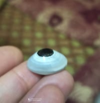مستمرون